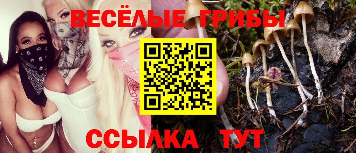 Галлюциногенные грибы мицелий Костомукша