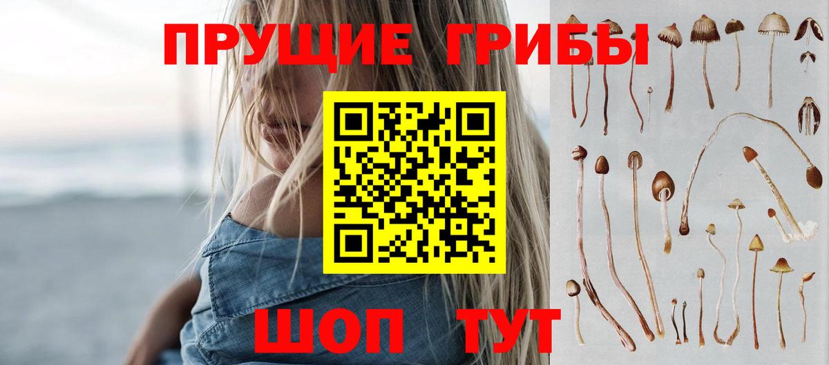 Костомукша  Галлюциногенные грибы мухоморы  Вход с VPN 